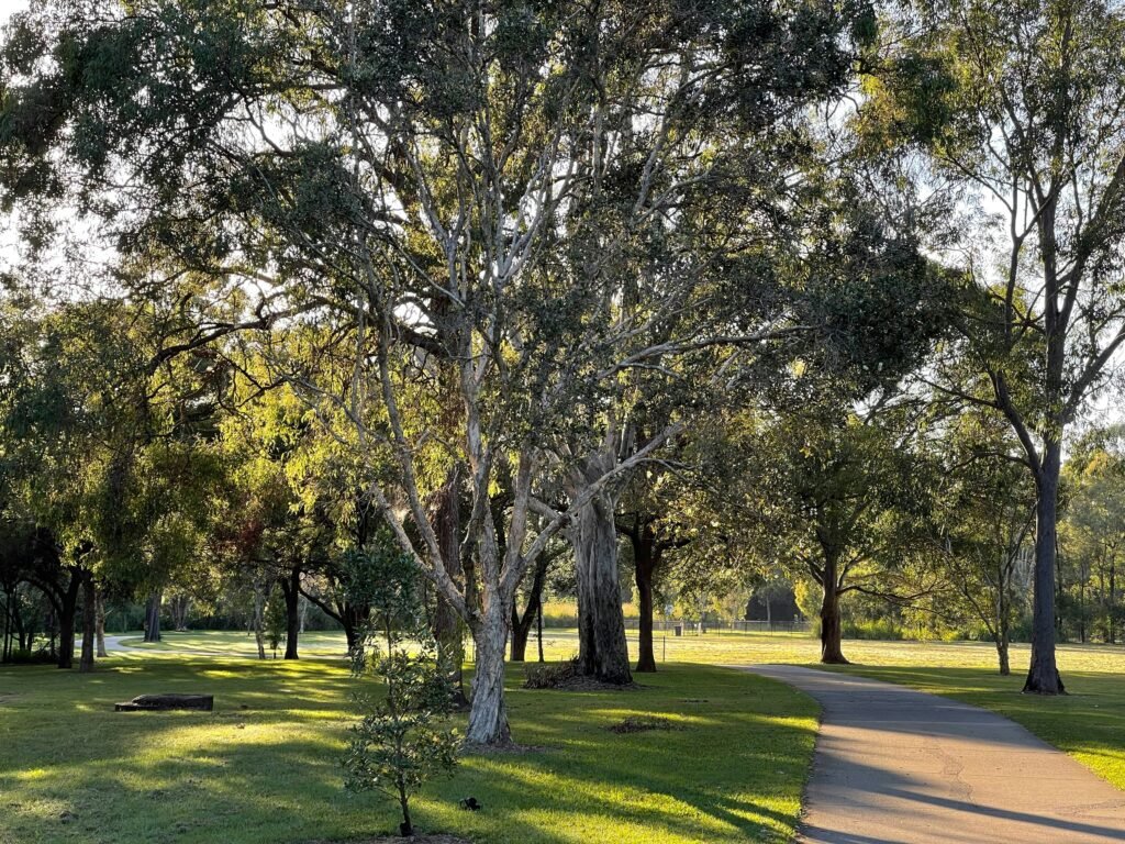 Best Early-Morning Experiences in Alibaug (Beyond Beaches)