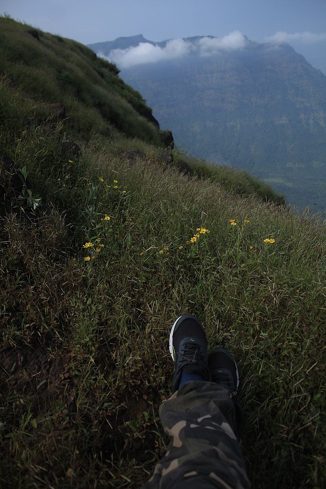 Lonavla Lions point
